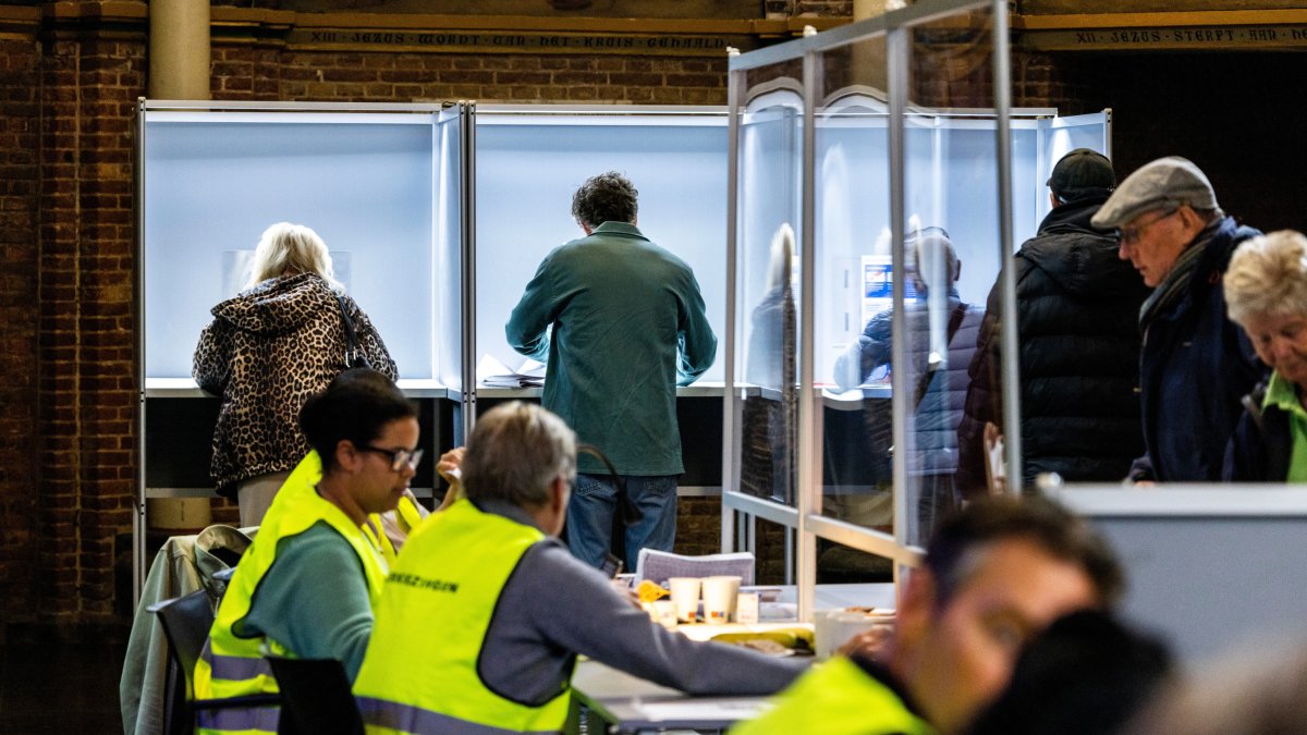 Ciutadans votant en les eleccions europees als Països Baixos