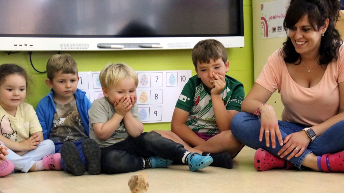 Alumnes d'una escola observen un pollet a classe.