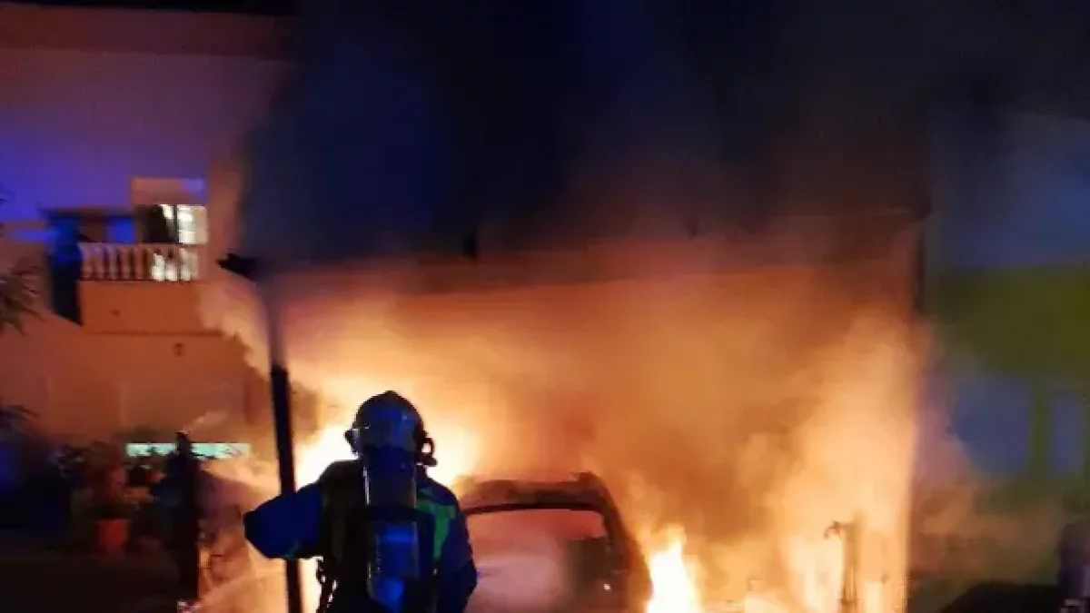 Un bomber durant l'extinció del foc a Deltebre.