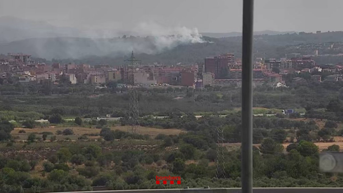 Imatge de l'incendi de vegetació a Pallaresos