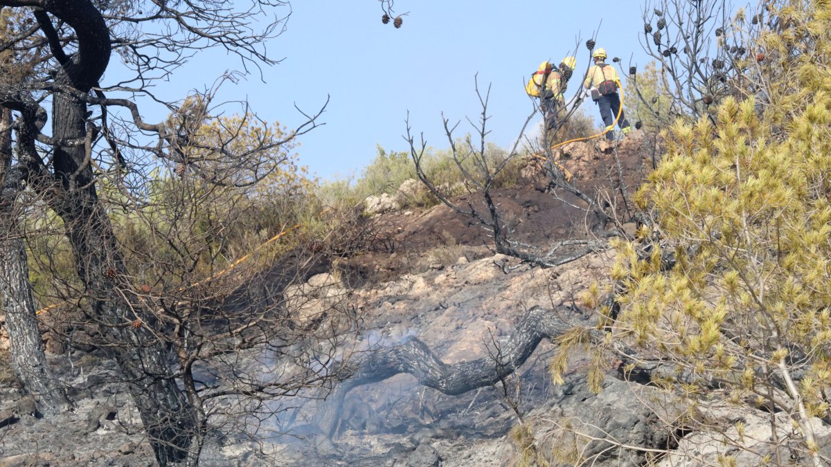 Imatge d'arxiu de l'incendi que mostra una branca encara fumeja mentre dos bombers remullen la zona afectada per l'incendi de la Figurera