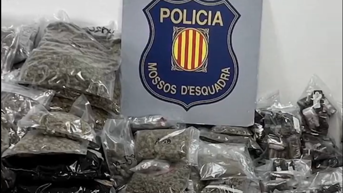 Imatge de la droga intervinguda pels Mossos d'Esquadra