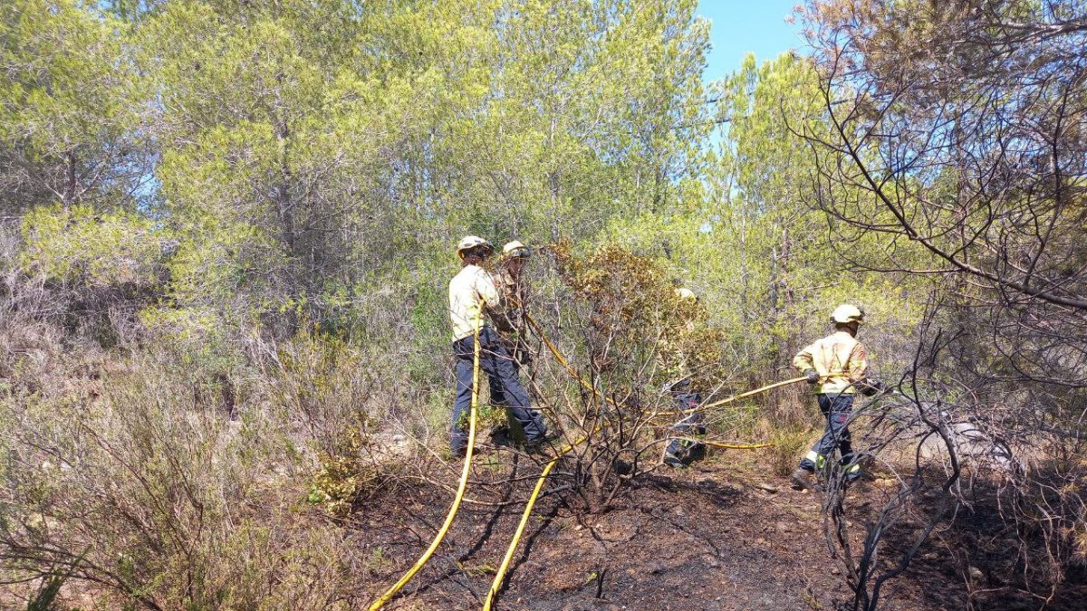 Imatge de l'incendi de vegetació a Vespella de Gaià