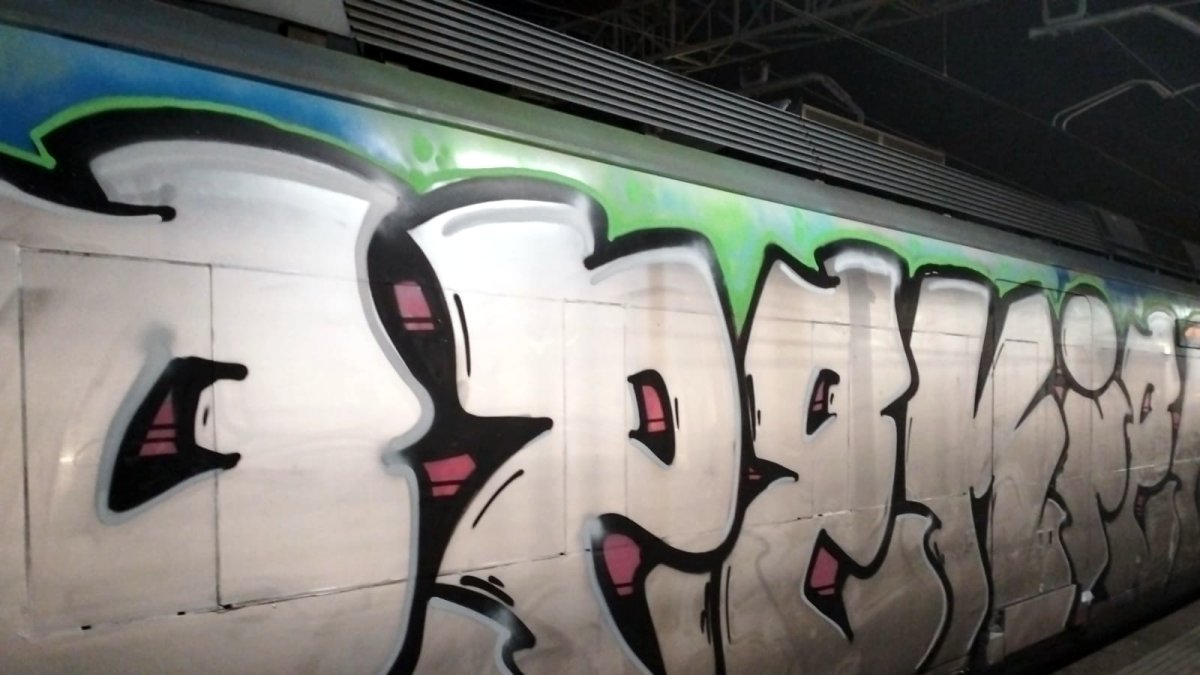 Un dels trens vandalitzats amb grafitis a l'R4 de Rodalies