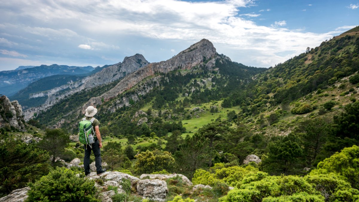 Un excursionista observa el paisatge al parc natural del Port