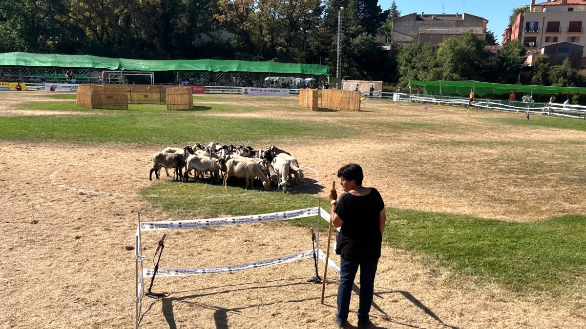 Una de les pastores participants, Mercè Ribot, del concurs de gossos d'atura de Prades