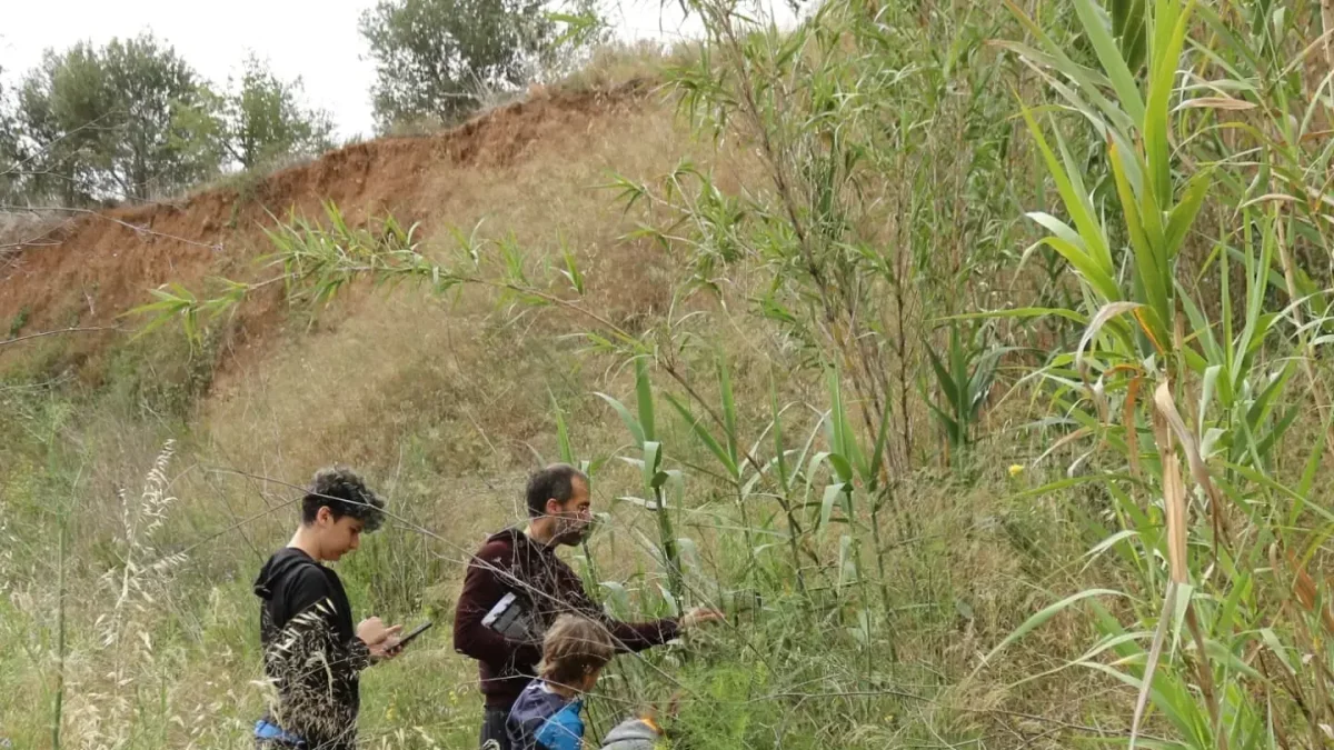 Tres participants durant el Bioblitz diürn