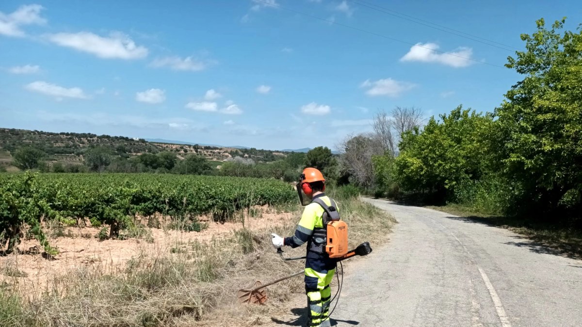 Un operari desbrossa un camió a Montferri, a l'Alt Camp.