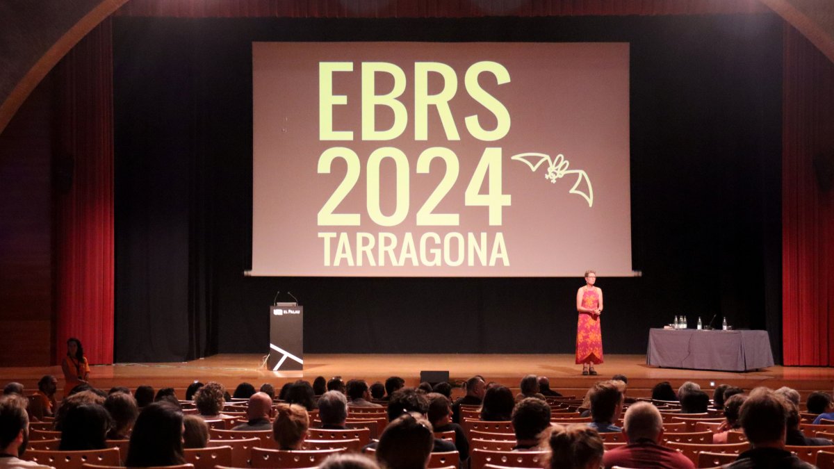 Una de les conferències del 16è Congrés Europeu de Recerca de Ratpenats celebrat a Tarragona.