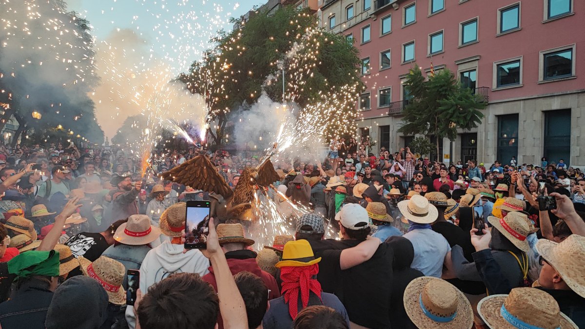 El Griu Petit va néixer l’any 2019 de la mà de l’Associació de Veïns Vall de l’Arrabassada i Músics, que aquell any van organitzar una Mostra de Bestiari Singular de Foc.