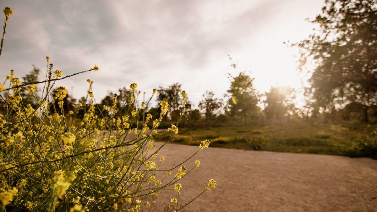 Imatge del Parc del Lliscament.