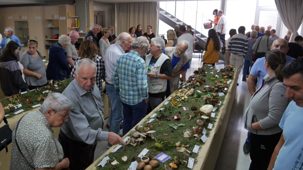 Imatge de la mostra de bolets de l'any passat.