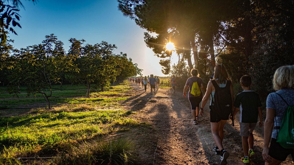 Imatge de la caminada popular de 2023.