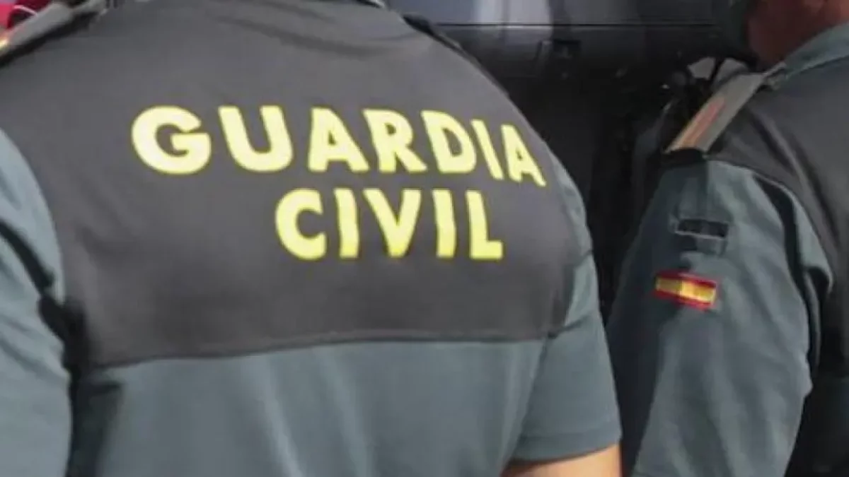 Interceptan un vehículo con casi 79 kg de hachís ocultos en un doble fondo en la AP-7 en Camarles
