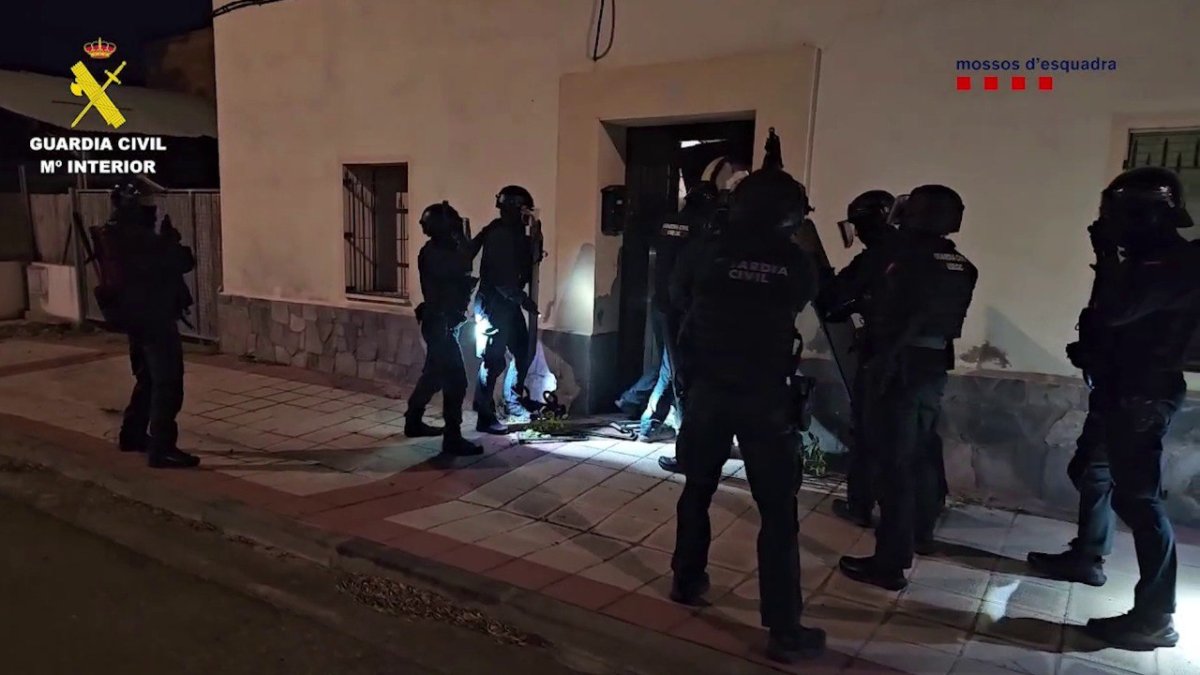 Desarticulen una organització dedicada al cultiu de cànnabis amb arrels al Camp de Tarragona