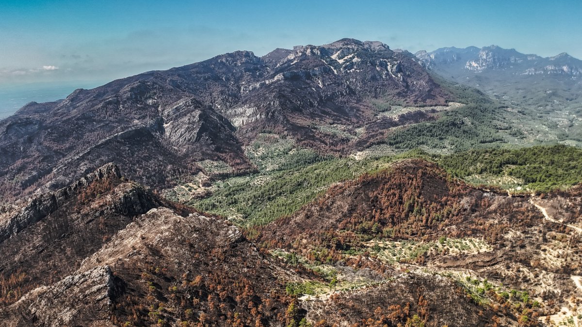 Un dron muestra la devastación del fuego de Paüls hasta Xerta, Aldover, Alfara de Carles y Tivenys