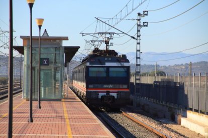 Imatge d'arxiu d'un tren a l'estació de l'Aldea.