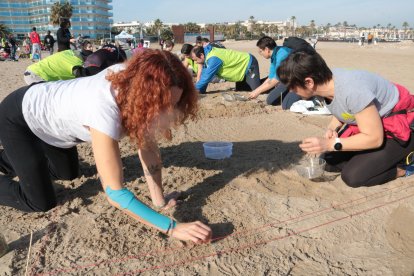 Dos mujeres participan en la acción de muestreo de pellets en la playa del Racó de Vila-seca.