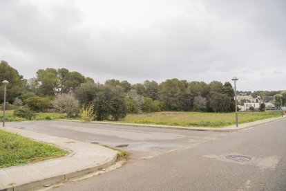 Imatge d’una part dels terrenys ubicats a l’entrada de la Móra i que formen part del Polígon d’Actuació 63.