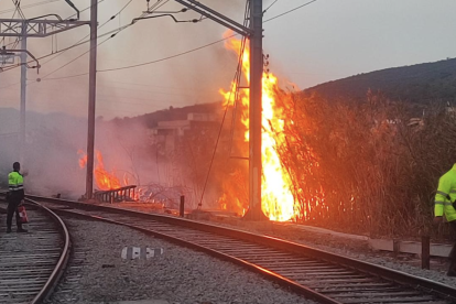 Un fuego quema al lado de líneas de tensión.