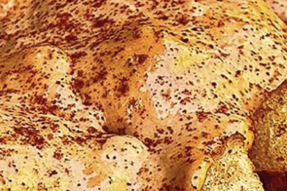 Imagen de las patatas bravas del Museu del Vermut de Reus.
