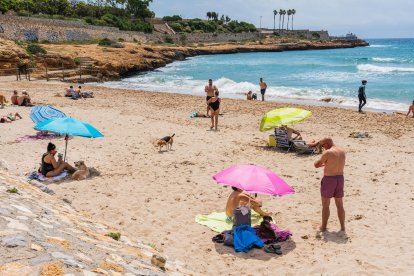 El consistorio repetirá también la experiencia con el espacio para perros de la playa del Miracle.