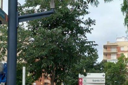Operarios trabajando en la instalación de las cámaras de la Zona de Bajas Emisiones en Reus