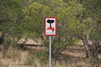Plano detalle de la señal de peligro por incendio en una carretera