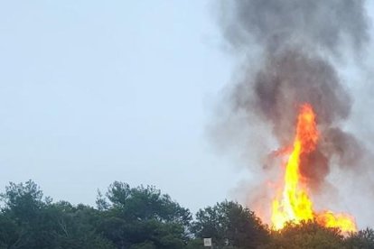 Imagen del incendio en el bosque de la playa Savinosa