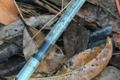 Imagen de una de las jeringas encontradas.