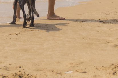 Paloma y su hijo juegan a palas con Janes y otros dos perros en el nuevo espacio canino de la playa Llarga de Tarragona.