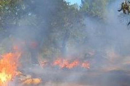 Imagen del incendio en Tivissa