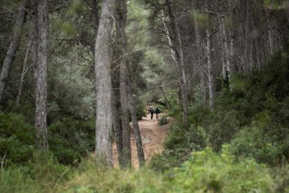 Imatge de l'Anella Verda de Tarragona.