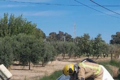Imagen del coche accidentado.