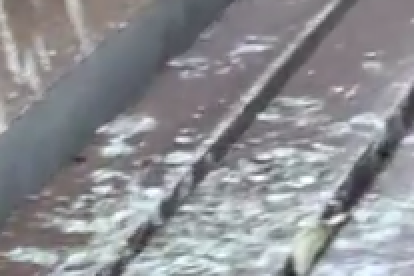 Un banco del paseo de las Palmeras de Tarragona lleno de excrementos de paloma.