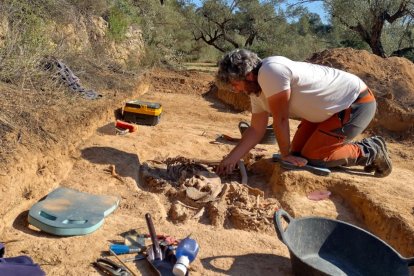 Un arqueòleg exhumant les restes de dos soldats republicans en una fossa d'Ascó.