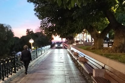 Imagen del coche circulando por el paseo de las Palmeras