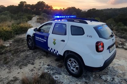 Imatge d'arxiu d'un vehicle dels vigilants municipals dels Pallaresos.