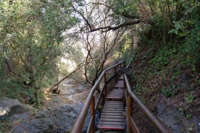 Imagen del Camí del Rec.
