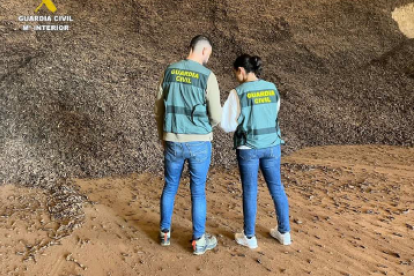 Las 74 toneladas de producto fueron vendidas en una almazara de la localidad de Tortosa.