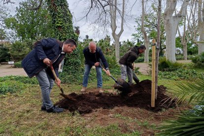 Oliver Klein, que ha procedido a plantar el Árbol de Cambrils dentro de la campaña de sensibilización 'Únete a la Liga Verde'.