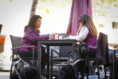 Dues persones cegues amb el seu gos pigall en una cafeteria.