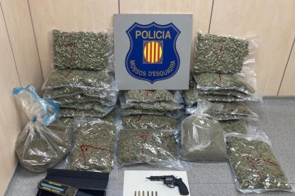 Imagen del cannabis intervenido.