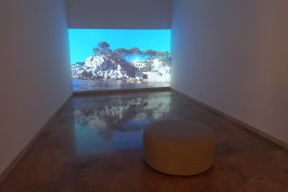 El treball guanyador de la BADt 2025 és la creació audiovisual ‘SSSSS’, de Marc Vives.