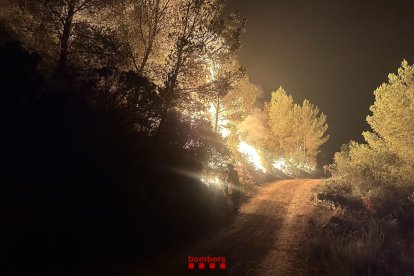 Maniobres de foc tècnic per definir ben bé el perímetre de l'incendi de Paüls.
