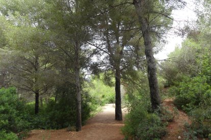 Parc de les Pedreres, un dels refugis climàtics de Salou