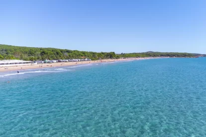 Imagen de la playa.