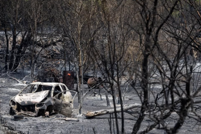 Imatge del paisatge de Xerta calcinat després de l'incendi de Paüls.