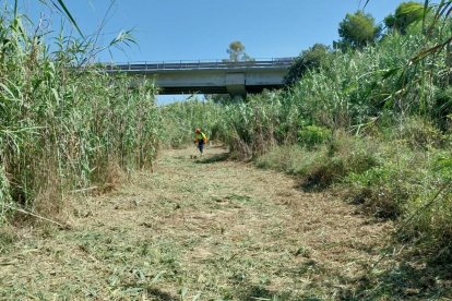 Imagen de uno de los caminos desbrozados en Tarragona este verano.