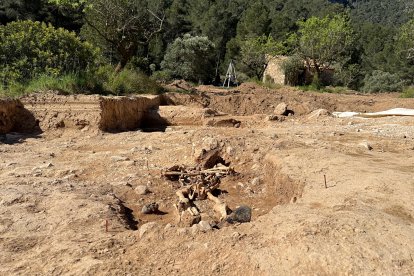 Excavación arqueológica de la Teuleria.